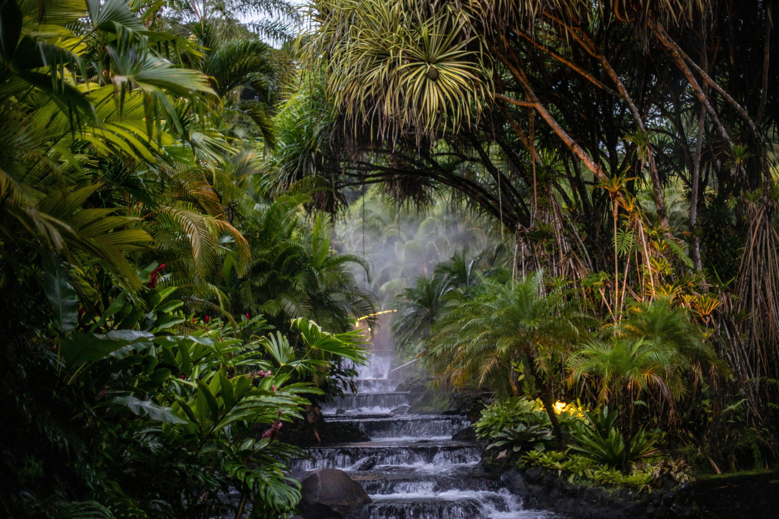 une rivière coule dans la jungle